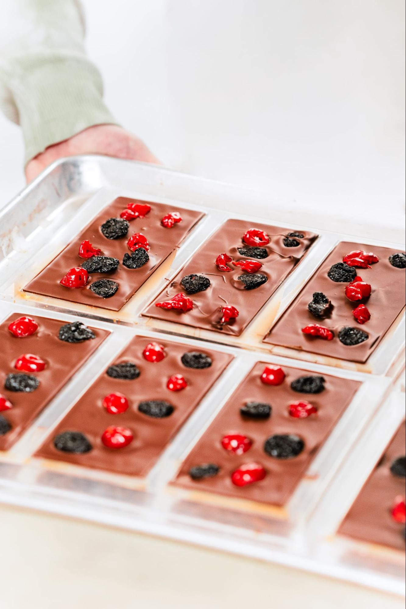 Hand holding a tray of freshly molded milk chocolate bars topped with dried cherries and berries, showing how chocolate is made and set in molds during the artisan chocolate-making process.