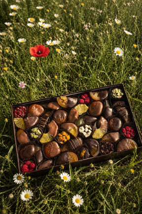 An open box of assorted chocolate dippedf fruits placed on green grass .The gourmet chocolates include dark and milk chocolate pieces with drizzles and fruit garnishes.