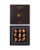 Compartes best chocolate covered peanut brittle gift box, gold brittle pieces, brown and gold box