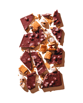 Compartes best chocolate gift, dark chocolate s'mores bar with toasted marshmallow and graham