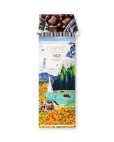Compartes best campfire s'mores chocolate bar, dark chocolate in a mountain lake wrapper, chocolate gift