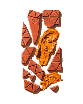Compartes best cookie butter chocolate gift bar, milk chocolate with a swirl of cookie butter